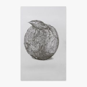original graphite pencil still life realism fruits orange traditional artwork‌‌‌
